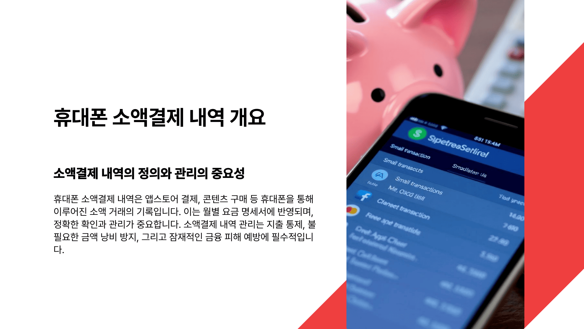 휴대폰 소액결제 내역 개요